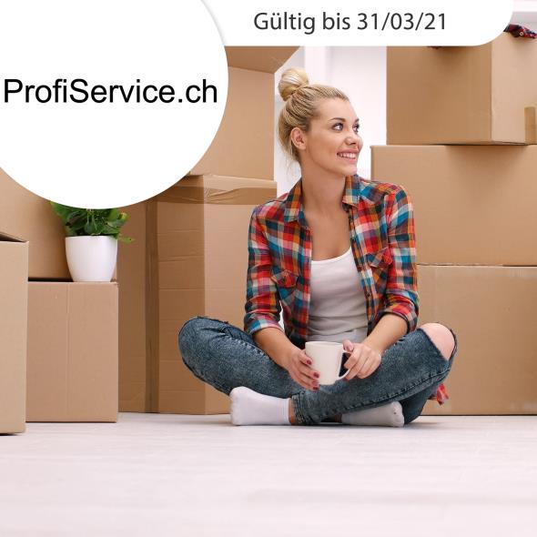 Professionelle Zügelhilfe