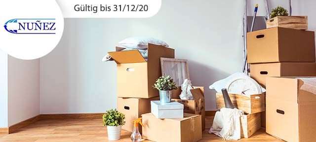Professionelle Zügelhilfe
