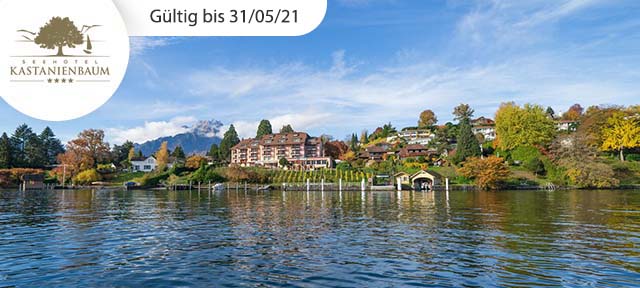 Traumblick am Vierwaldstättersee