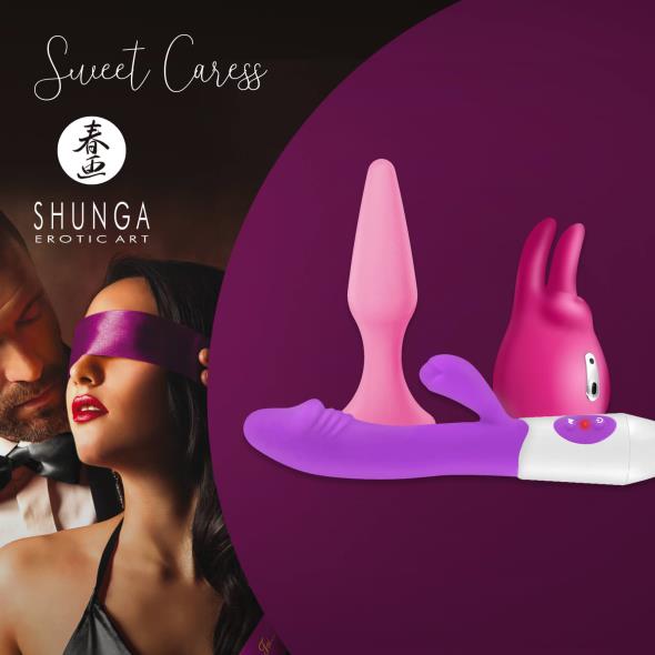 Sweet Caress, Shunga Erotic Art