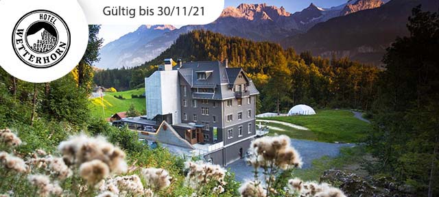 Bergpanorama am Hasliberg