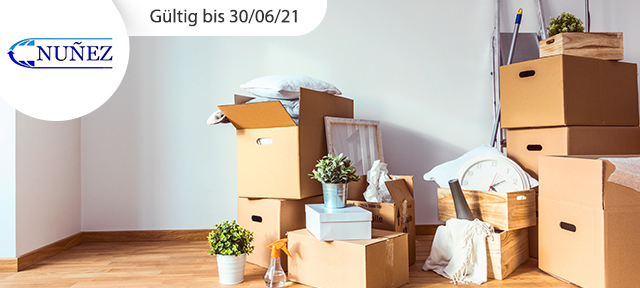 Professionelle Zügelhilfe
