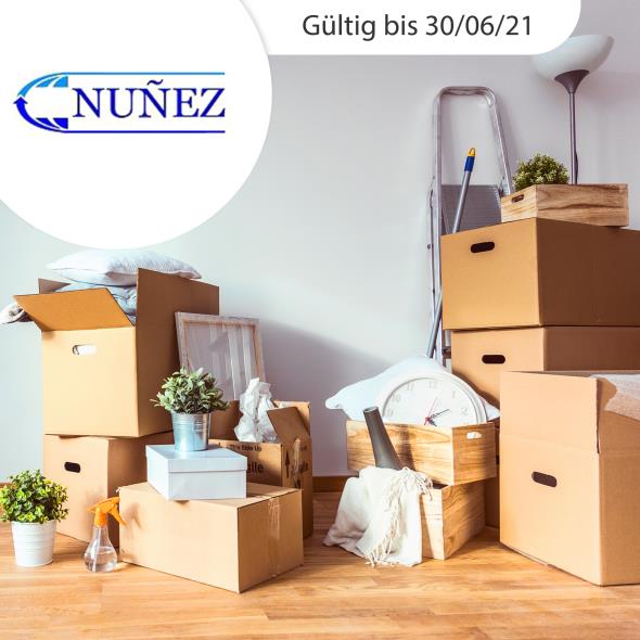Professionelle Zügelhilfe