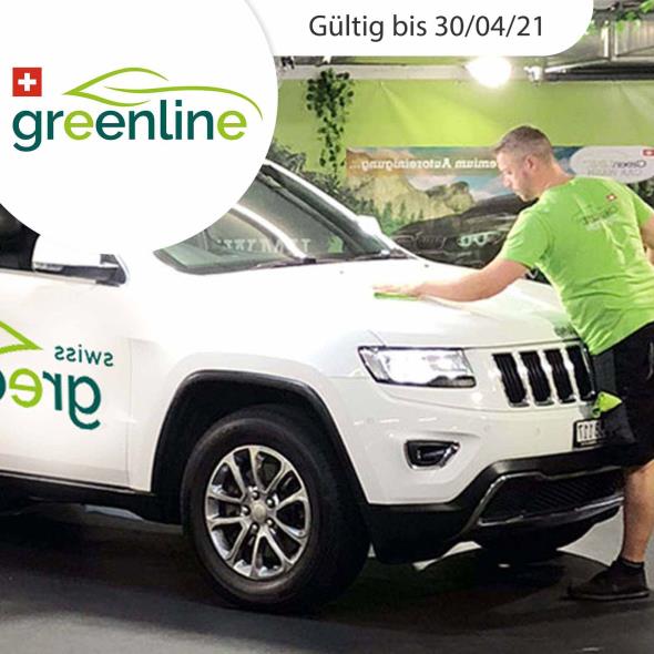 Umweltfreundliche Autoreinigung