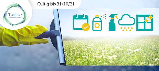 Endreinigung inkl. Abnahmegarantie