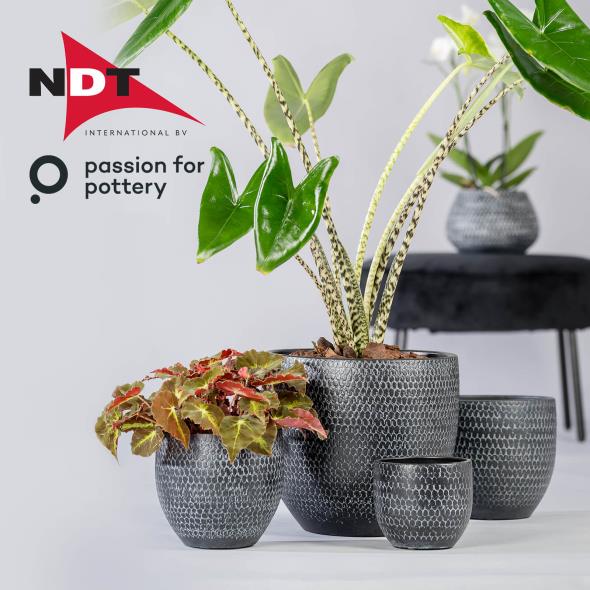 NDT Passion for Pottery