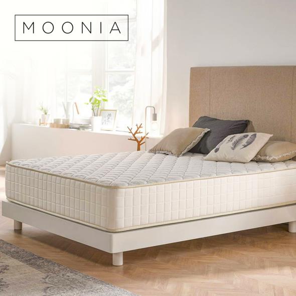 Moonia