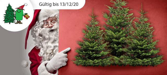 Weihnachtsbäume mit Lieferung 