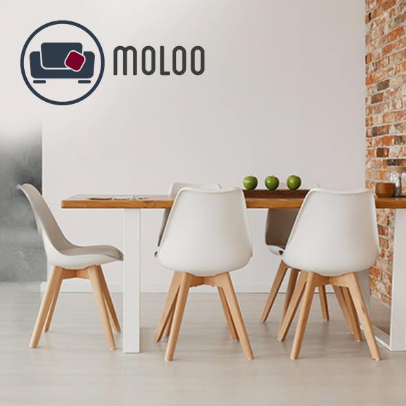 Moloo