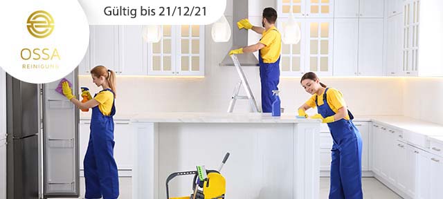 Endreinigung inkl. Abgabegarantie