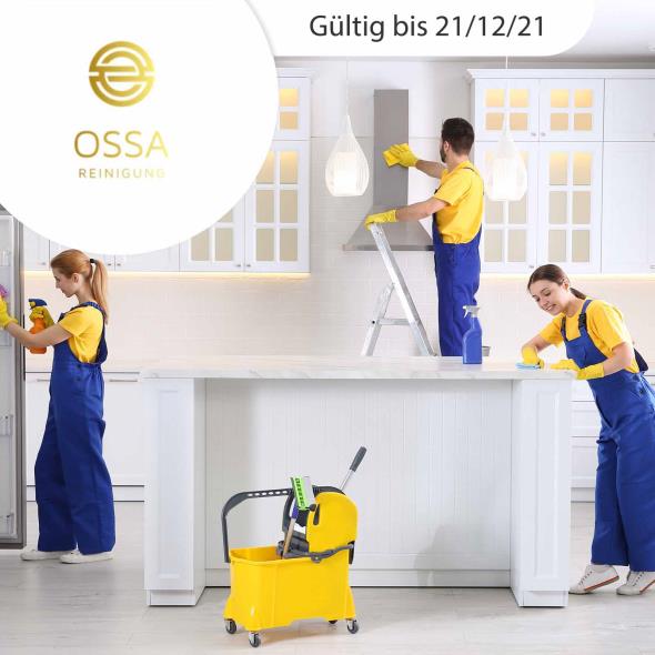 Endreinigung inkl. Abgabegarantie