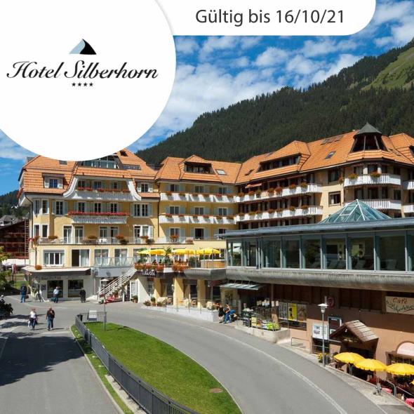 Idyllische Tage in Wengen