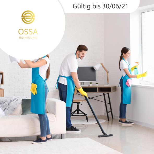 Professionelle Haushaltsreinigung