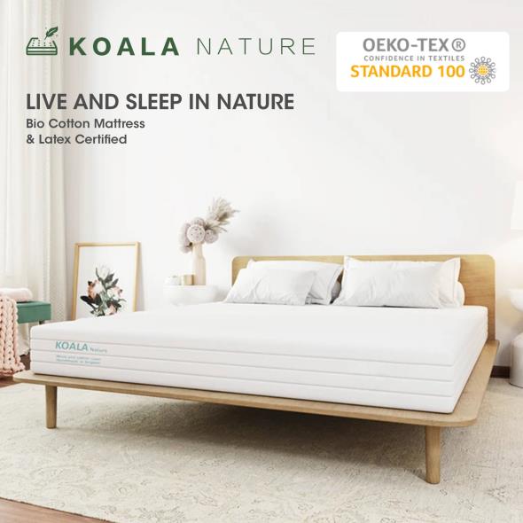 Koala Nature