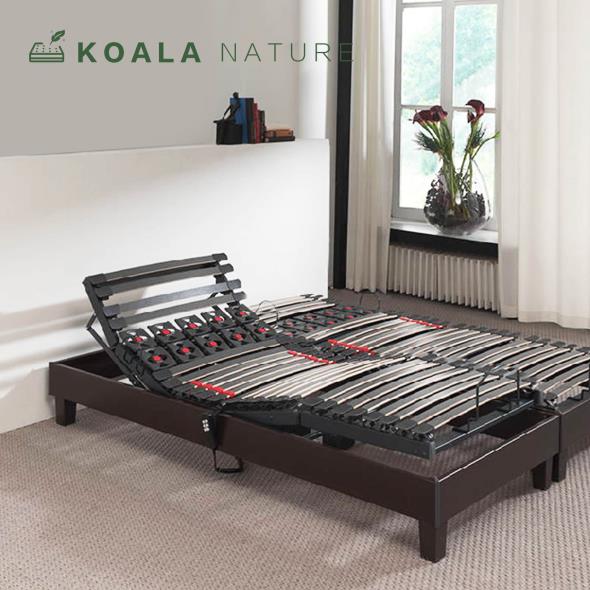 Koala Nature