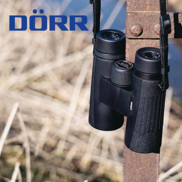 Dörr