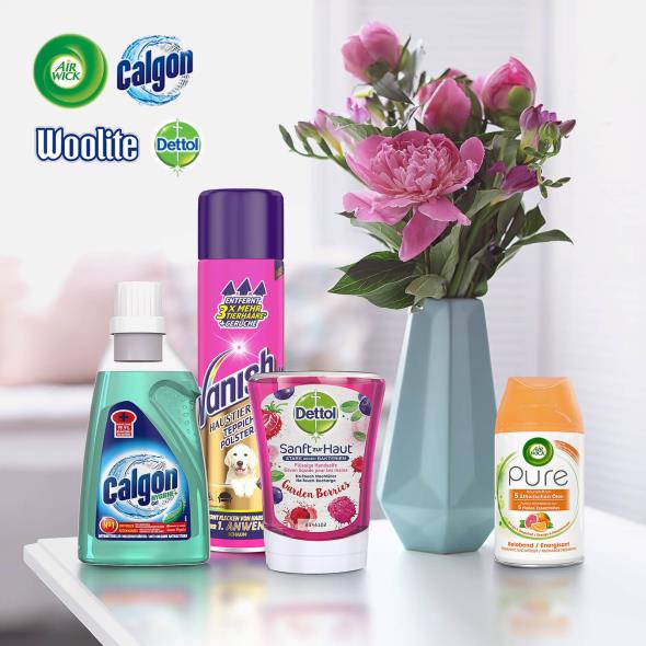 Airwick, Calgon, Woolite, Dettol, Vanish & Cillit Bang