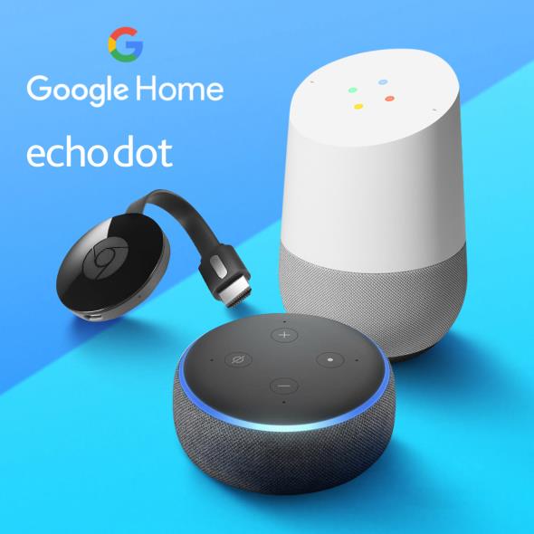 Google Home & Echo Dot
