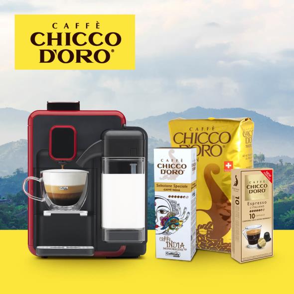 Chicco d'Oro