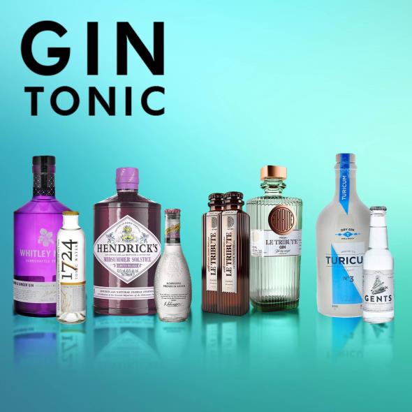 GIN & TONIC