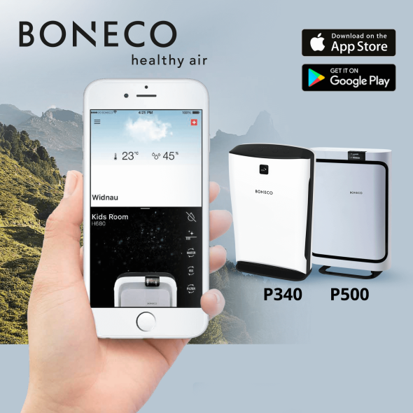 Boneco