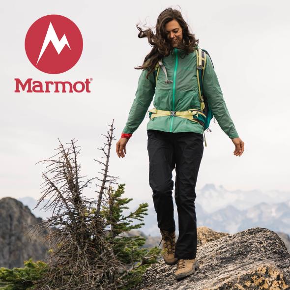 Marmot