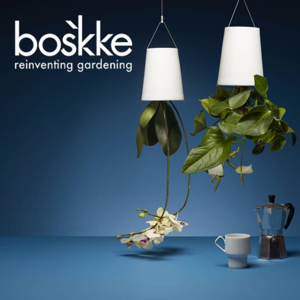 Boskke