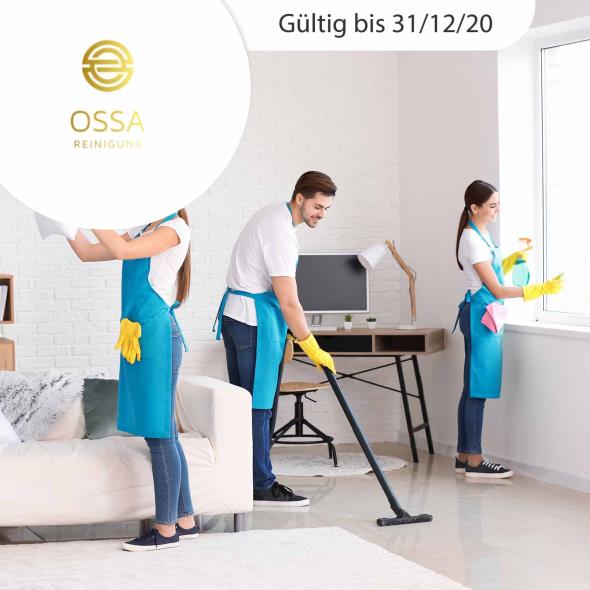 Endreinigung inkl. Abgabegarantie