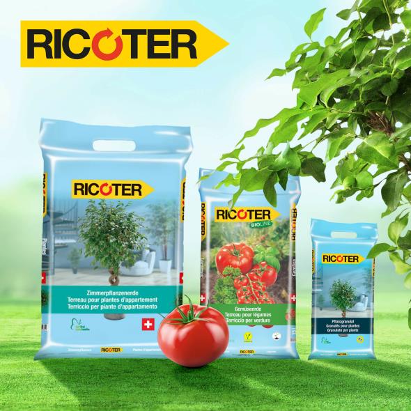 Ricoter