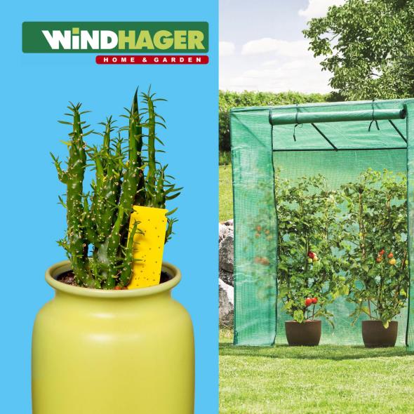 Windhager
