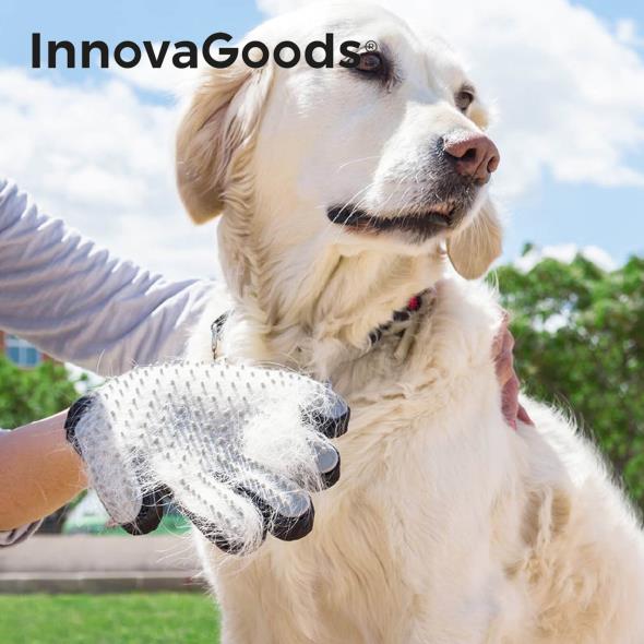 InnovaGoods