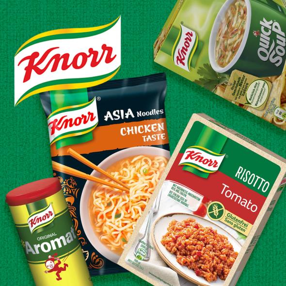 Knorr
