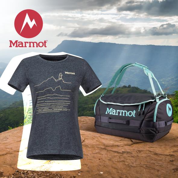 Marmot