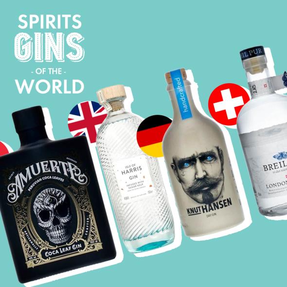 Gins of the World