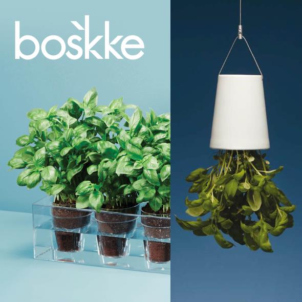 Boskke