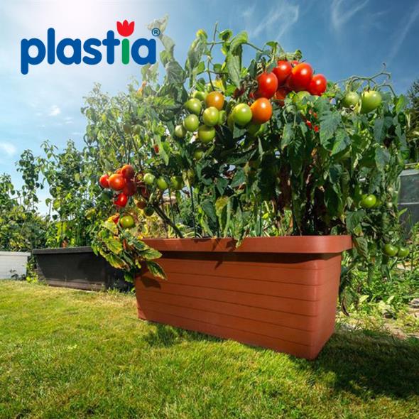 Plastia