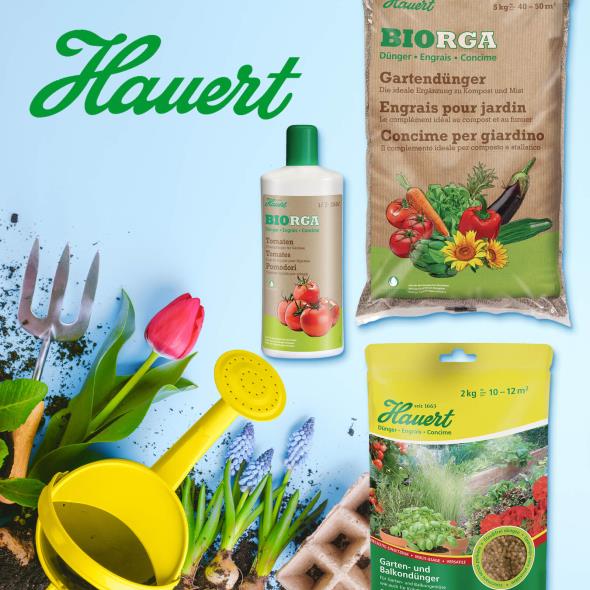 Hauert