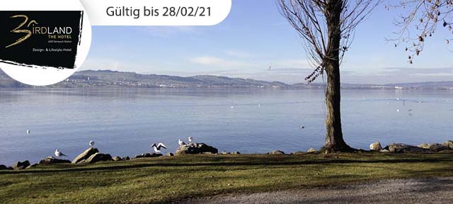 Schöne Tage beim Sempachersee