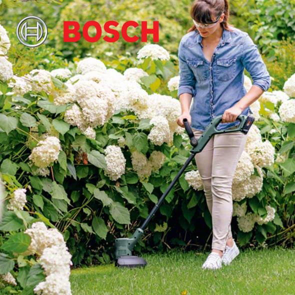 Bosch