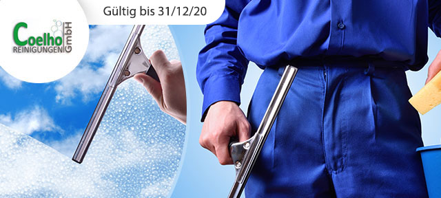 Fensterreinigung