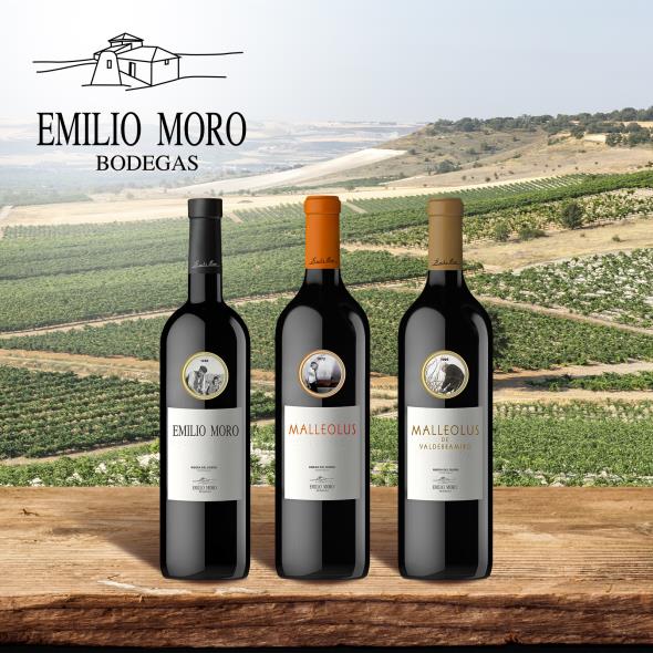 Bodegas Emilio Moro