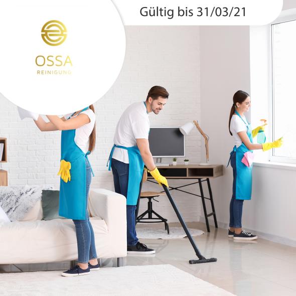 Endreinigung inkl. Abgabegarantie