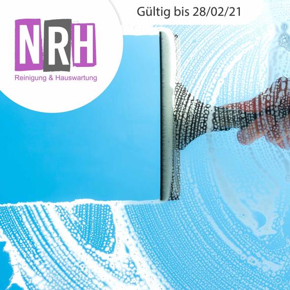 Professionelle Fensterreinigung