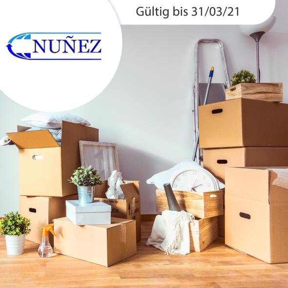 Professionelle Zügelhilfe