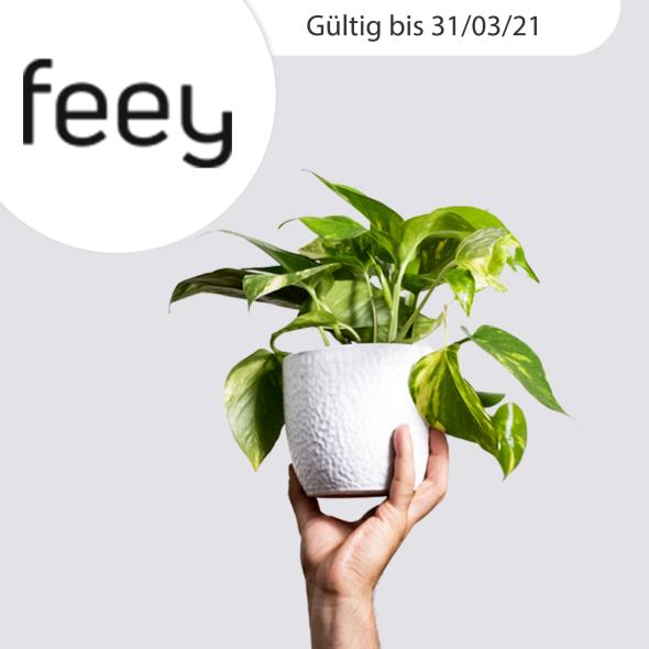 Wertgutschein für feey.ch 