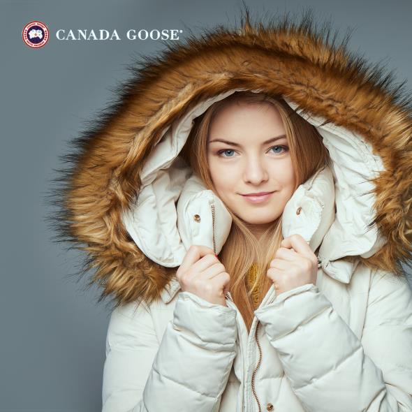 Canada Goose