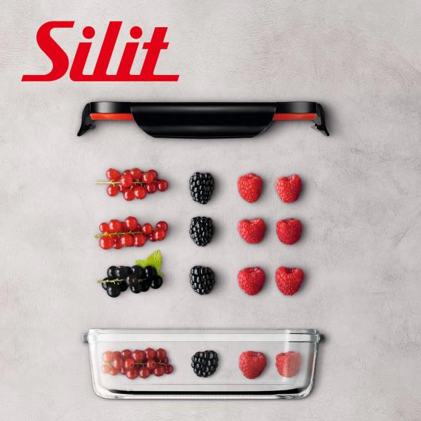 Silit