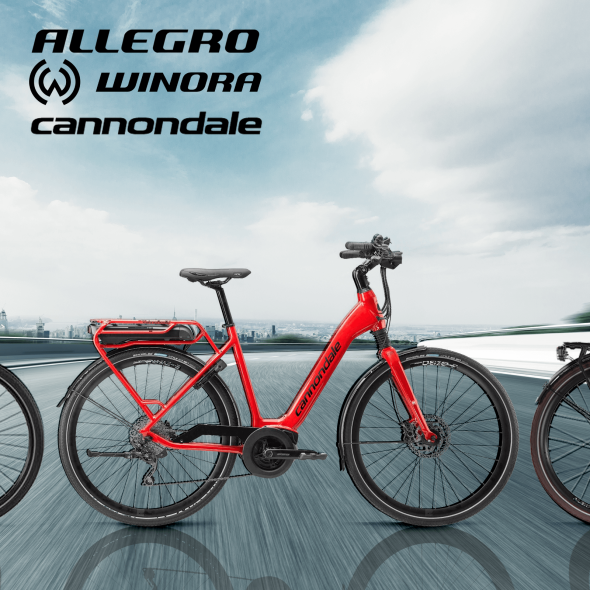 Allegro, Winora, Cannondale