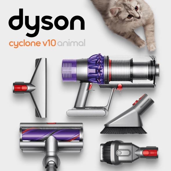 Dyson