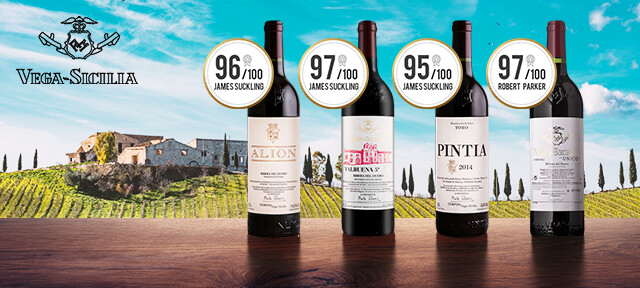 Bodegas Vega Sicilia 